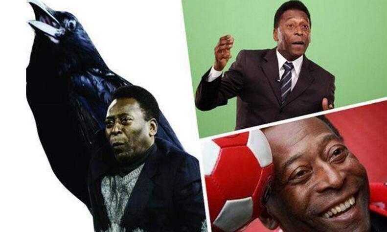 关于刷新纪录引爆全场！，Ming意外战胜公牛引发球迷热议的信息星空体育官方网站