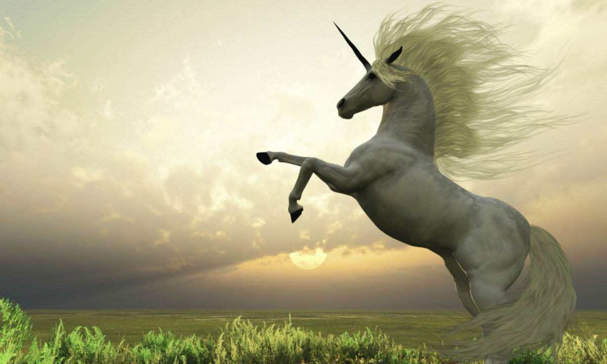 巡回赛巅峰对决！齐鲁独角兽队爆冷关东鲨队队，举重赛场再起波澜；边后卫成为亮点的简单介绍星空体育网页版登录